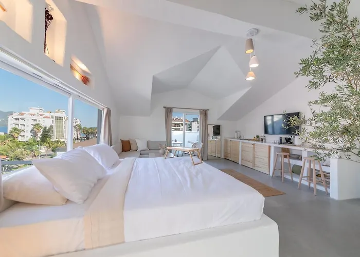 Penthouse Appartement